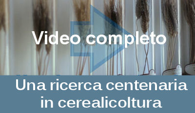 una ricerca centenaria in cerealicoltura