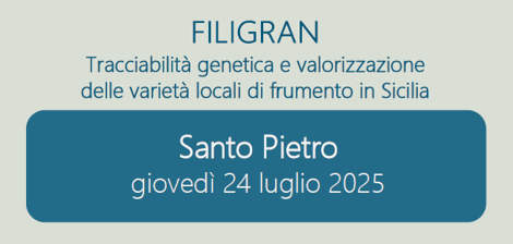 filigran_banner