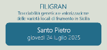 fuligran_piccolo