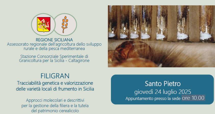 manifesto_ore10
